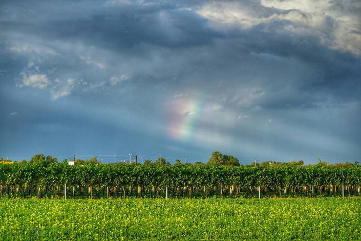 Instagram: Günselsdorf