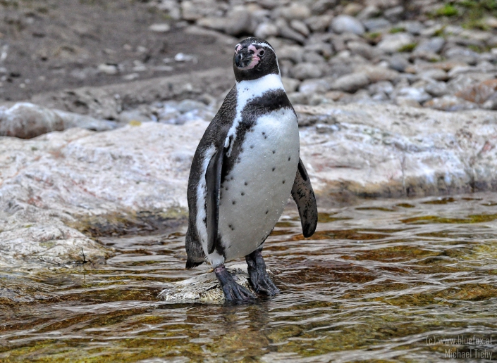 Instagram: Zoo Vienna Schönbrunn