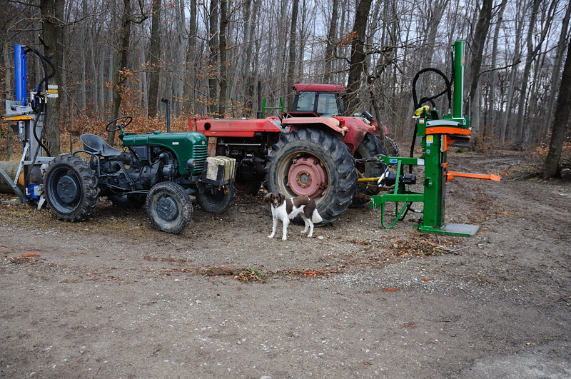 2012_01_22_15-29-50_DSC_0104_1.jpg