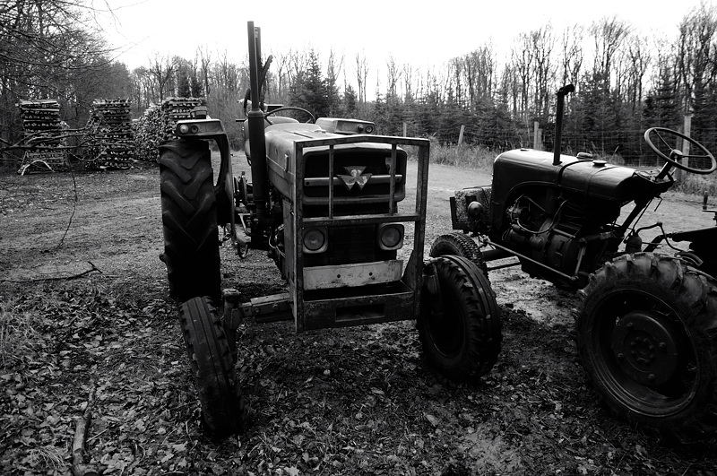 2012_01_22_15-31-20_DSC_0112.jpg