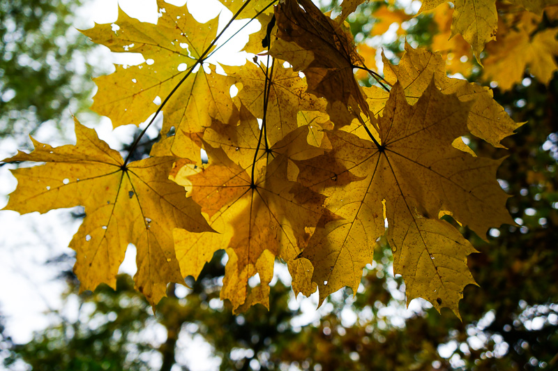2012_10_27_16-41-55_1.jpg