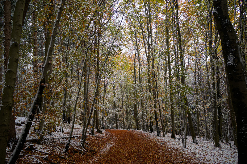 2012_10_28_16-14-52_1.jpg