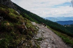 2014_06_17_17-20-16