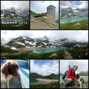 collage_20140723191503433