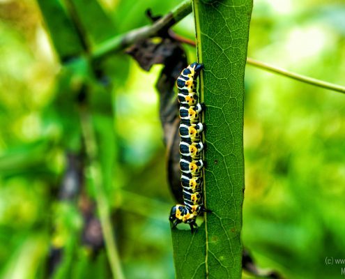 2016_08_17_12-53-53-Bearbeitet