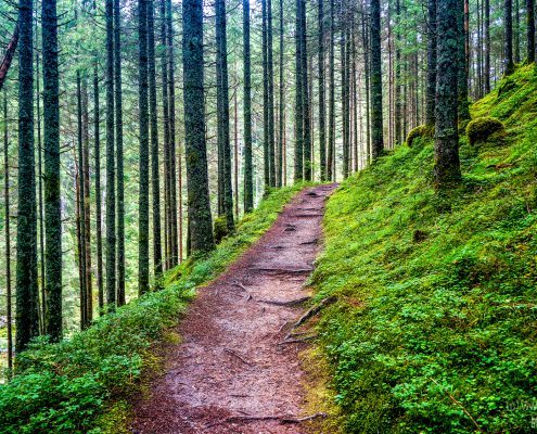 2016_08_17_16-09-11_1-Bearbeitet-Bearbeitet