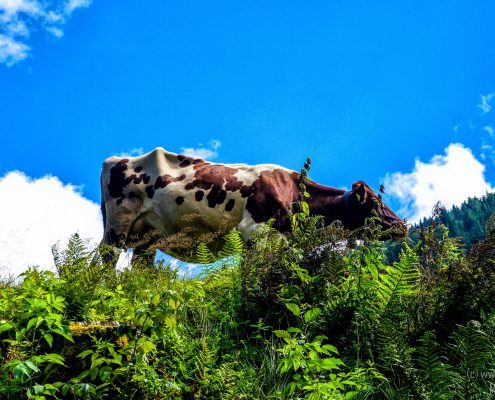 2016_08_19_13-36-55-Bearbeitet
