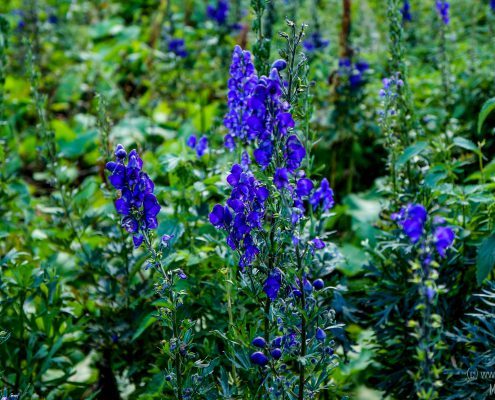 2016_08_28_16-48-28
